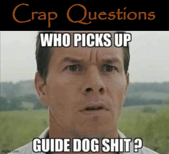 Shit ? | Crap  Questions | image tagged in crap | made w/ Imgflip meme maker