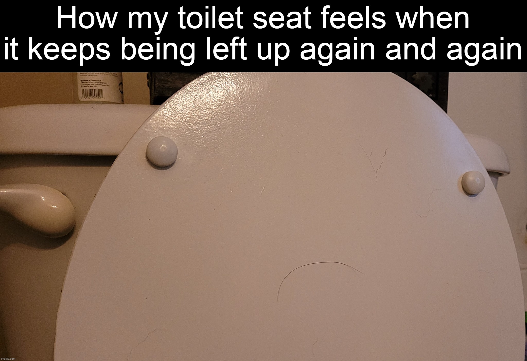 How my toilet seat feels when it keeps being left up again and again | image tagged in meme,memes,humor | made w/ Imgflip meme maker