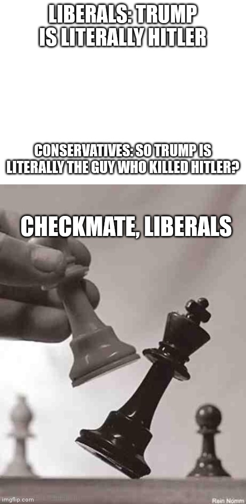 LIBERALS: TRUMP IS LITERALLY HITLER; CONSERVATIVES: SO TRUMP IS LITERALLY THE GUY WHO KILLED HITLER? CHECKMATE, LIBERALS | image tagged in blank white template,checkmate | made w/ Imgflip meme maker