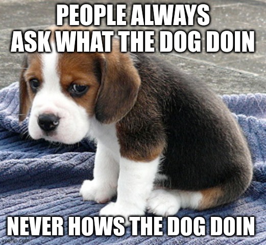 real sad |  PEOPLE ALWAYS ASK WHAT THE DOG DOIN; NEVER HOWS THE DOG DOIN | image tagged in sad dog | made w/ Imgflip meme maker