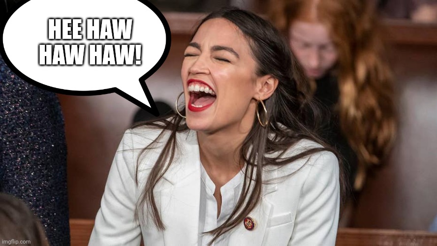 aoc Braying donkey-style | HEE HAW HAW HAW! | image tagged in aoc braying donkey-style | made w/ Imgflip meme maker