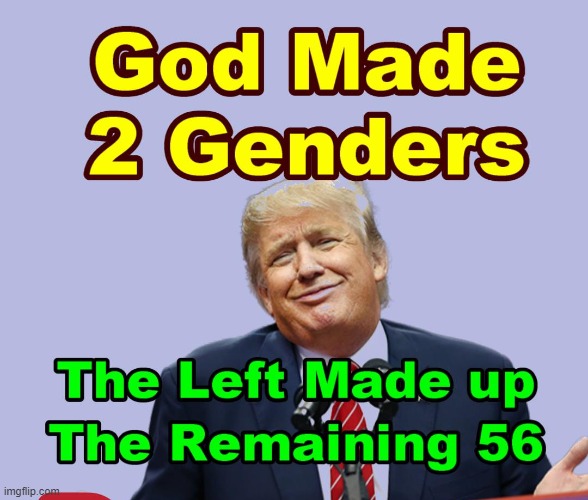 God Made Two Genders - What is the Confusion Folks ?? | image tagged in gender gap,memes,trump,right | made w/ Imgflip meme maker