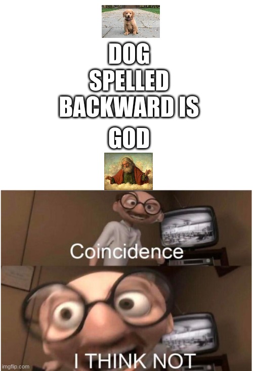 do people read these titles...? | DOG; SPELLED BACKWARD IS; GOD | image tagged in coincidence i think not | made w/ Imgflip meme maker