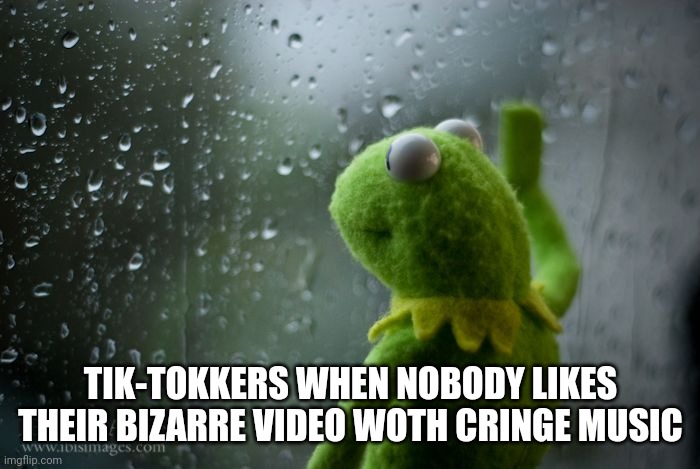 kermit window | TIK-TOKKERS WHEN NOBODY LIKES THEIR BIZARRE VIDEO WOTH CRINGE MUSIC | image tagged in kermit window | made w/ Imgflip meme maker