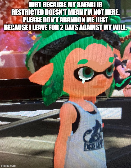 Don't forget me. | JUST BECAUSE MY SAFARI IS RESTRICTED DOESN'T MEAN I'M NOT HERE. PLEASE DON'T ABANDON ME JUST BECAUSE I LEAVE FOR 2 DAYS AGAINST MY WILL. | made w/ Imgflip meme maker