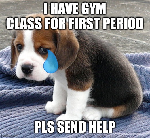 Pal | I HAVE GYM CLASS FOR FIRST PERIOD; PLS SEND HELP | image tagged in sad dog | made w/ Imgflip meme maker