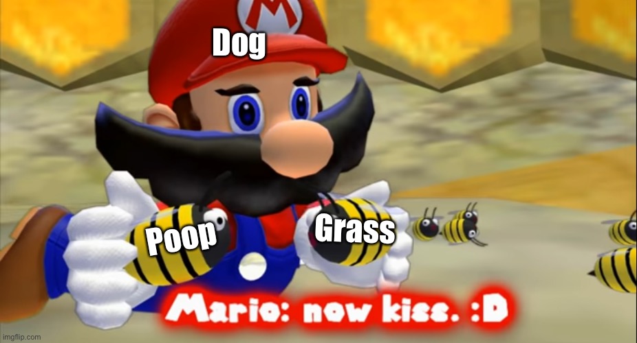 Smg4 now kiss | Dog; Grass; Poop | image tagged in smg4 now kiss | made w/ Imgflip meme maker