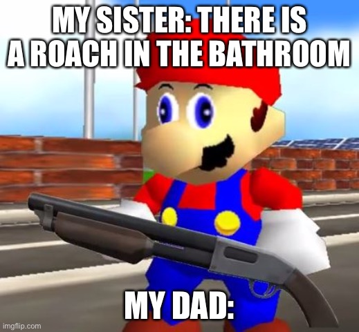 SMG4 Shotgun Mario | MY SISTER: THERE IS A ROACH IN THE BATHROOM; MY DAD: | image tagged in smg4 shotgun mario | made w/ Imgflip meme maker