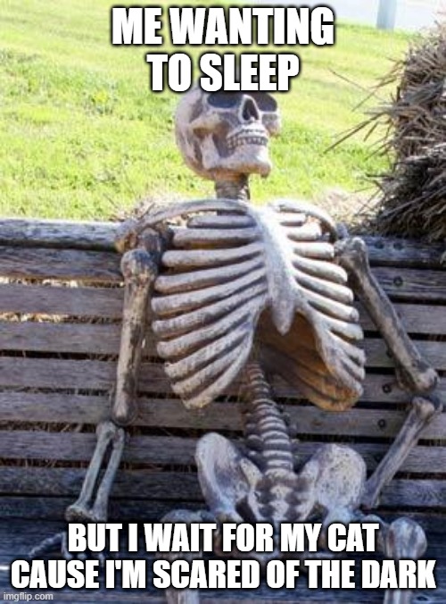 Waiting Skeleton | ME WANTING TO SLEEP; BUT I WAIT FOR MY CAT CAUSE I'M SCARED OF THE DARK | image tagged in memes,waiting skeleton | made w/ Imgflip meme maker