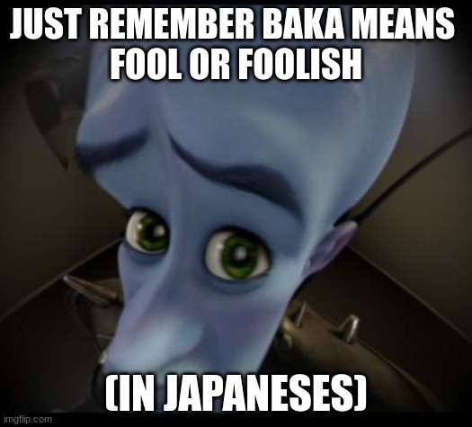 beanz | JUST REMEMBER BAKA MEANS 
FOOL OR FOOLISH; (IN JAPANESES) | image tagged in no bitches | made w/ Imgflip meme maker