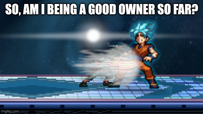 . | SO, AM I BEING A GOOD OWNER SO FAR? | image tagged in take this | made w/ Imgflip meme maker