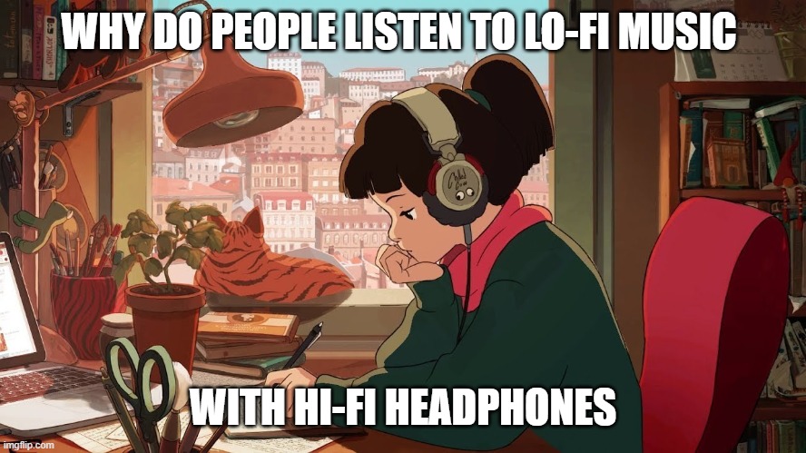 Expensive headphones for cheap music | WHY DO PEOPLE LISTEN TO LO-FI MUSIC; WITH HI-FI HEADPHONES | image tagged in music,headphones | made w/ Imgflip meme maker
