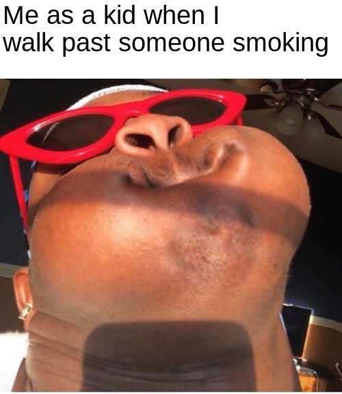 Hold breathe | Me as a kid when I walk past someone smoking | image tagged in hold breathe | made w/ Imgflip meme maker