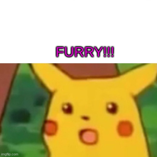 Surprised Pikachu Meme | FURRY!!! | image tagged in memes,surprised pikachu | made w/ Imgflip meme maker