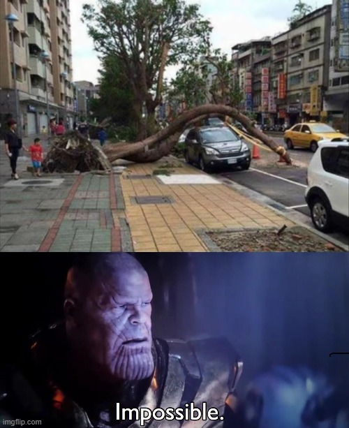 He's so lucky | image tagged in thanos impossible | made w/ Imgflip meme maker