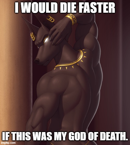 Hmmm, That bridge over the freeway sure has a nice view... xD (By SigmaX) | I WOULD DIE FASTER; IF THIS WAS MY GOD OF DEATH. | image tagged in funny,memes,furry,anubis,lol | made w/ Imgflip meme maker