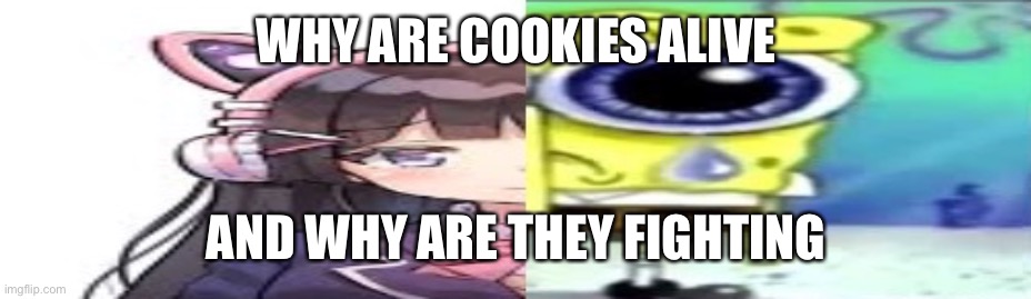 lol | WHY ARE COOKIES ALIVE; AND WHY ARE THEY FIGHTING | image tagged in lol | made w/ Imgflip meme maker