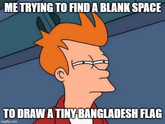 Futurama Fry Meme | ME TRYING TO FIND A BLANK SPACE; TO DRAW A TINY BANGLADESH FLAG | image tagged in memes,futurama fry,place | made w/ Imgflip meme maker