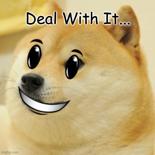 SMILE DOGE | Deal With It... | image tagged in doge | made w/ Imgflip meme maker