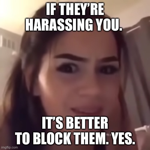 If you're homeless, just buy a house | IF THEY’RE HARASSING YOU. IT’S BETTER TO BLOCK THEM. YES. | image tagged in if you're homeless just buy a house | made w/ Imgflip meme maker