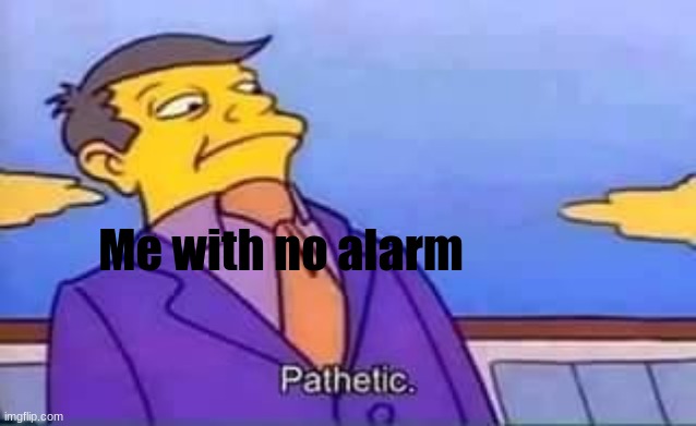 skinner pathetic | Me with no alarm | image tagged in skinner pathetic | made w/ Imgflip meme maker