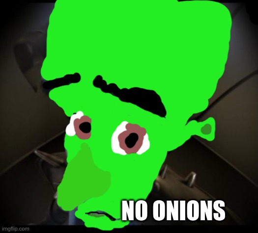 no onions | NO ONIONS | image tagged in no bitches,shrek | made w/ Imgflip meme maker