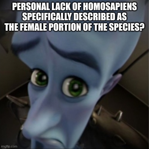 thats too bad | PERSONAL LACK OF HOMOSAPIENS SPECIFICALLY DESCRIBED AS THE FEMALE PORTION OF THE SPECIES? | image tagged in megamind peeking,meme | made w/ Imgflip meme maker