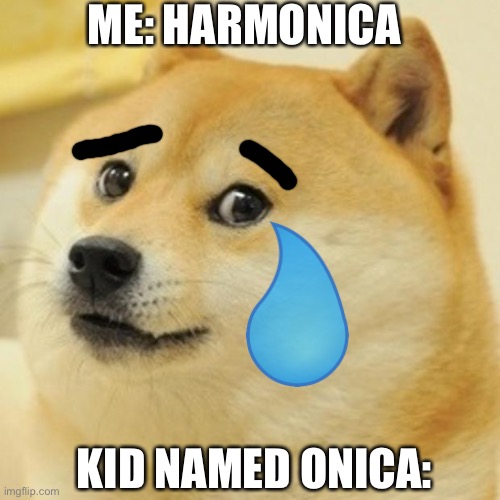 Doge | ME: HARMONICA; KID NAMED ONICA: | image tagged in memes,doge | made w/ Imgflip meme maker