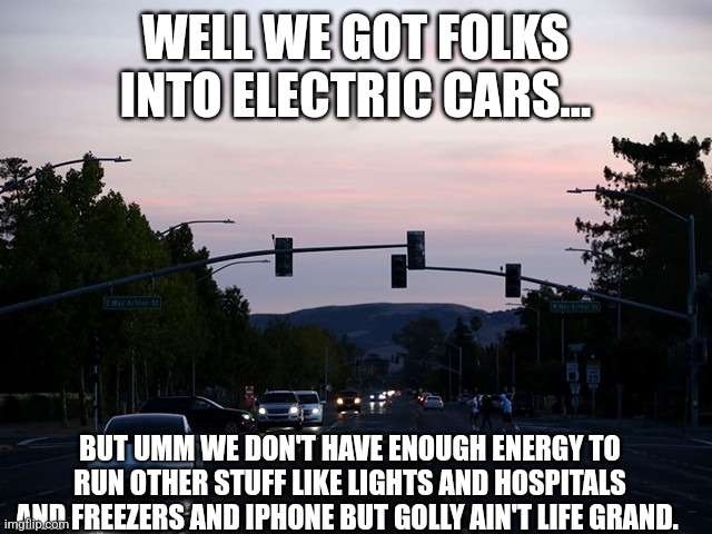 Liberals Make Cute Pets...but can't be housbroken | WELL WE GOT FOLKS INTO ELECTRIC CARS... BUT UMM WE DON'T HAVE ENOUGH ENERGY TO RUN OTHER STUFF LIKE LIGHTS AND HOSPITALS AND FREEZERS AND IPHONE BUT GOLLY AIN'T LIFE GRAND. | image tagged in stupid liberals,energy,dnc,rnc,liberal hypocrisy,morons | made w/ Imgflip meme maker