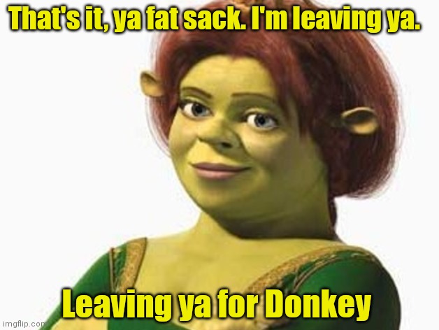 Princess Fiona | That's it, ya fat sack. I'm leaving ya. Leaving ya for Donkey | image tagged in princess fiona | made w/ Imgflip meme maker