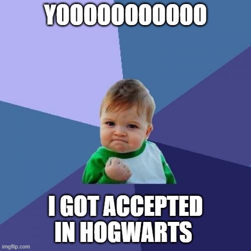 Success Kid Meme | YOOOOOOOOOOO; I GOT ACCEPTED IN HOGWARTS | image tagged in memes,success kid | made w/ Imgflip meme maker