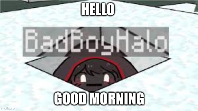 badboyhalo | HELLO; GOOD MORNING | image tagged in badboyhalo | made w/ Imgflip meme maker