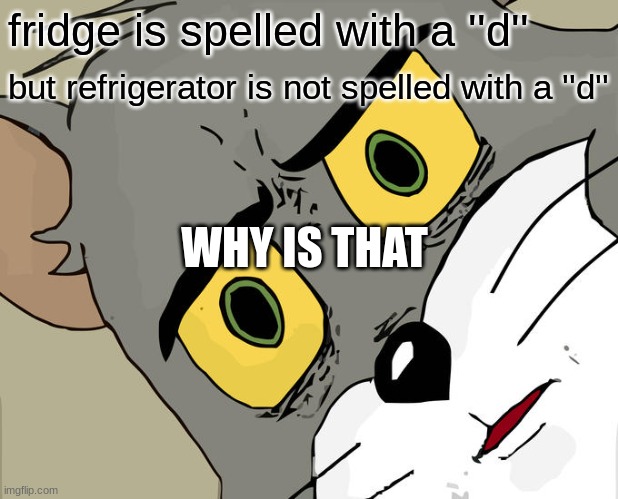 why tho WHY | fridge is spelled with a ''d''; but refrigerator is not spelled with a ''d''; WHY IS THAT | image tagged in memes,unsettled tom | made w/ Imgflip meme maker