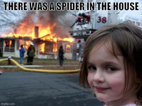 Disaster Girl Meme | THERE WAS A SPIDER IN THE HOUSE | image tagged in memes,disaster girl | made w/ Imgflip meme maker