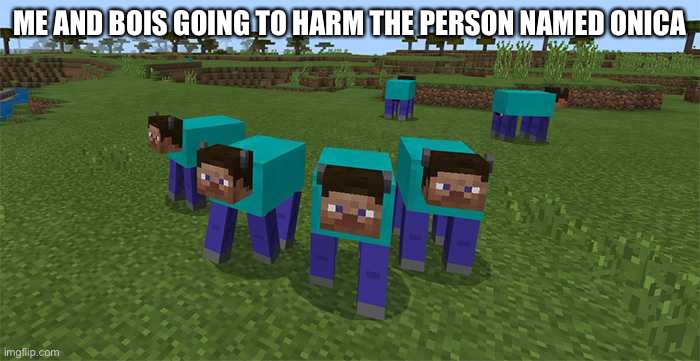 me and the boys | ME AND BOIS GOING TO HARM THE PERSON NAMED ONICA | image tagged in me and the boys | made w/ Imgflip meme maker