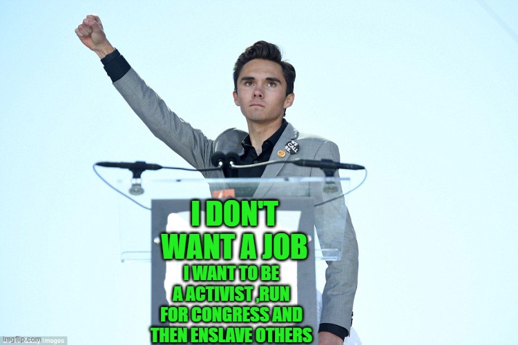yep | I DON'T WANT A JOB I WANT TO BE A ACTIVIST ,RUN FOR CONGRESS AND THEN ENSLAVE OTHERS | image tagged in heil david hogg | made w/ Imgflip meme maker
