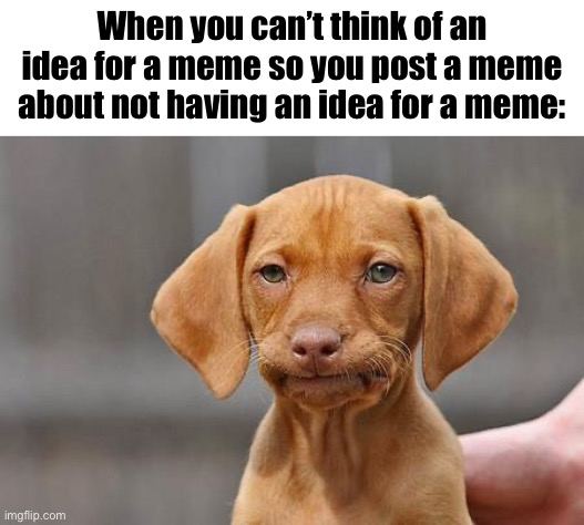 Brain Moment | When you can’t think of an idea for a meme so you post a meme about not having an idea for a meme: | image tagged in funny,memes,dissapointed puppy | made w/ Imgflip meme maker