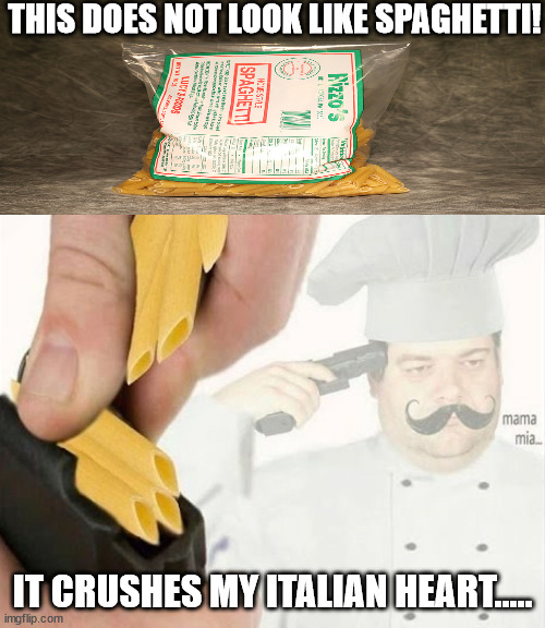 Italian suicide | THIS DOES NOT LOOK LIKE SPAGHETTI! IT CRUSHES MY ITALIAN HEART..... | image tagged in italian suicide | made w/ Imgflip meme maker