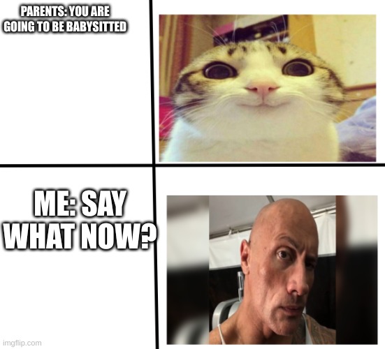 what? | PARENTS: YOU ARE GOING TO BE BABYSITTED; ME: SAY WHAT NOW? | image tagged in say what now | made w/ Imgflip meme maker