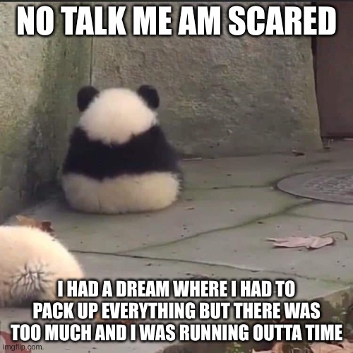 a think im scared of | NO TALK ME AM SCARED; I HAD A DREAM WHERE I HAD TO PACK UP EVERYTHING BUT THERE WAS TOO MUCH AND I WAS RUNNING OUTTA TIME | image tagged in no talk me im angy | made w/ Imgflip meme maker