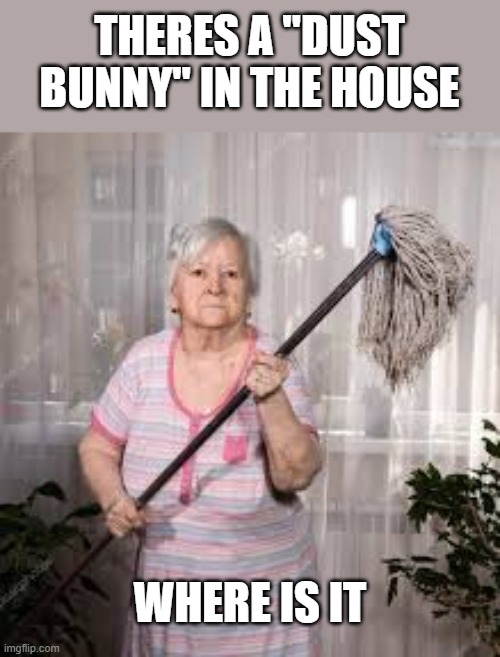 Where is it |  THERES A "DUST BUNNY" IN THE HOUSE; WHERE IS IT | image tagged in old lady | made w/ Imgflip meme maker