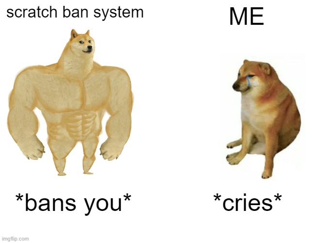 Buff Doge vs. Cheems Meme | scratch ban system; ME; *bans you*; *cries* | image tagged in memes,buff doge vs cheems | made w/ Imgflip meme maker