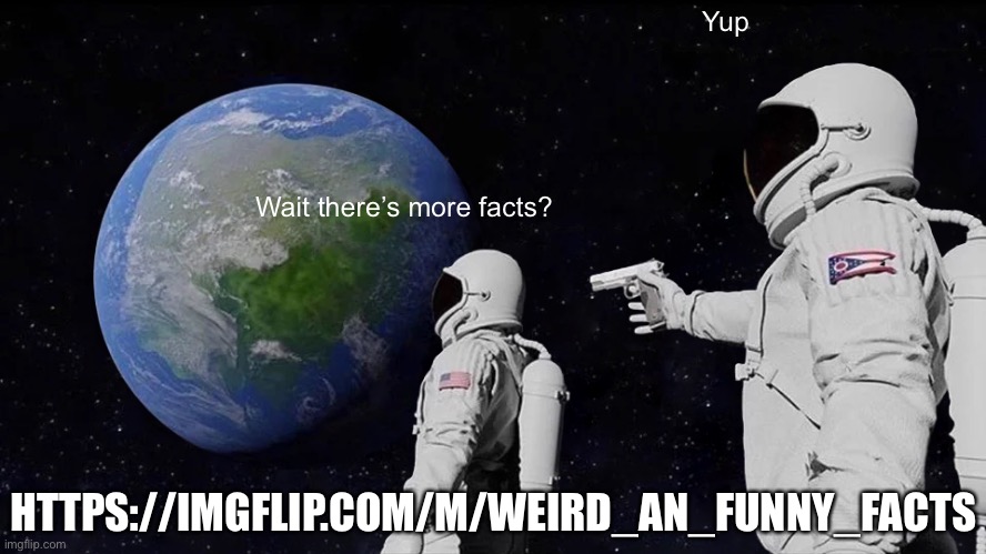 https://imgflip.com/m/Weird_an_Funny_Facts | Yup; Wait there’s more facts? HTTPS://IMGFLIP.COM/M/WEIRD_AN_FUNNY_FACTS | image tagged in memes,always has been | made w/ Imgflip meme maker