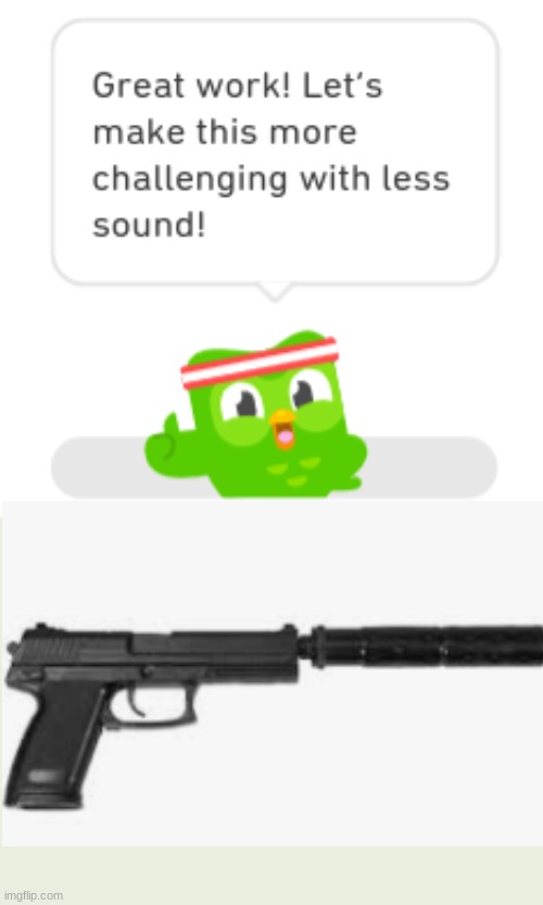 when he comes for you... | image tagged in duolingo,gun,funny,dark humor,memes | made w/ Imgflip meme maker