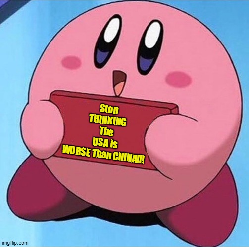 SerpentZA reference | Stop THINKING The USA is WORSE Than CHINA!!! | image tagged in kirby holding a sign,gaming,china,usa,memes,kirby | made w/ Imgflip meme maker