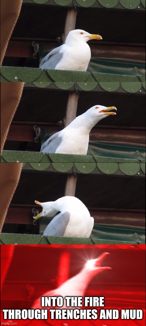 Inhaling Seagull | INTO THE FIRE THROUGH TRENCHES AND MUD | image tagged in memes,inhaling seagull | made w/ Imgflip meme maker