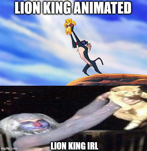 Lion King Rafiki Simba | LION KING ANIMATED; LION KING IRL | image tagged in lion king rafiki simba | made w/ Imgflip meme maker