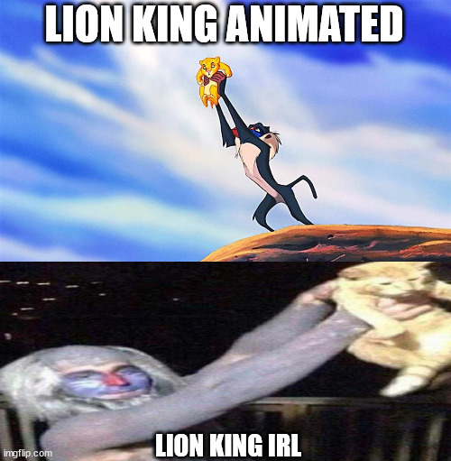 Lion King Rafiki Simba - Imgflip