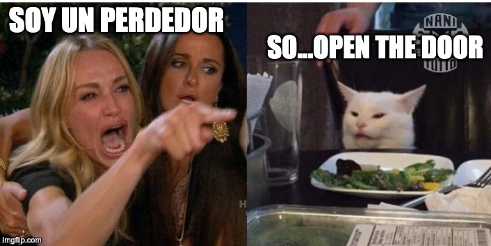 Loser by Beck | SO...OPEN THE DOOR; SOY UN PERDEDOR | image tagged in white cat table | made w/ Imgflip meme maker