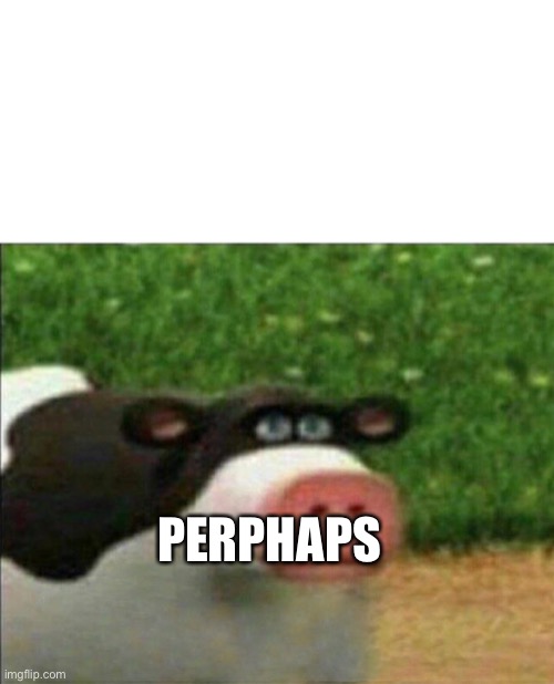 Perhaps cow | PERPHAPS | image tagged in perhaps cow | made w/ Imgflip meme maker